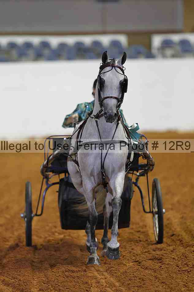 Proof Number 12r9_7217