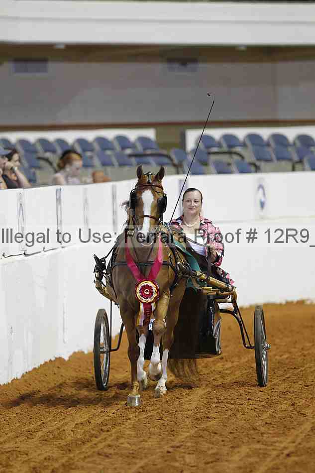 Proof Number 12r9_7226