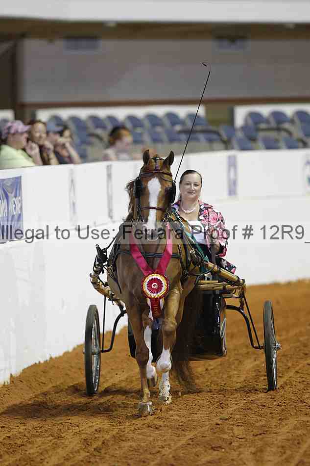 Proof Number 12r9_7227