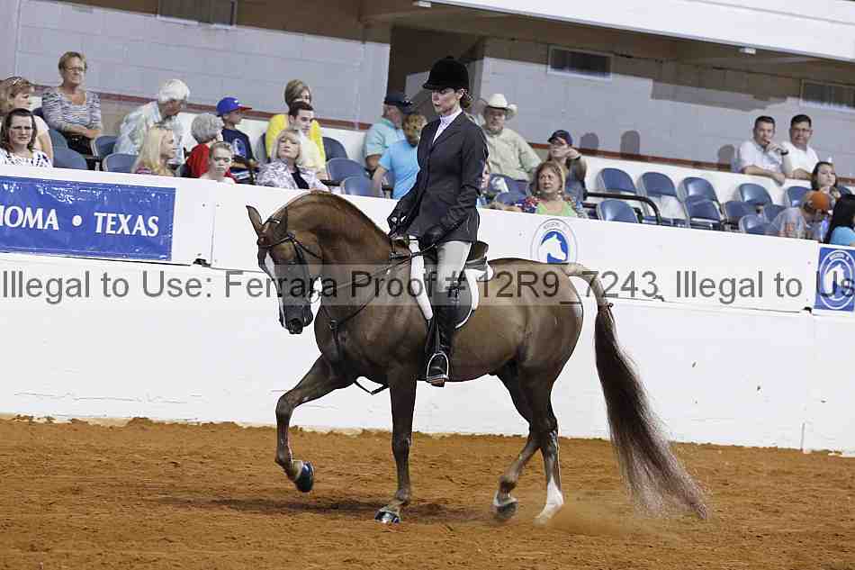 Proof Number 12r9_7243
