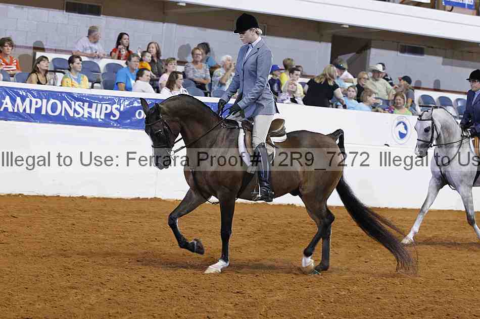 Proof Number 12r9_7272