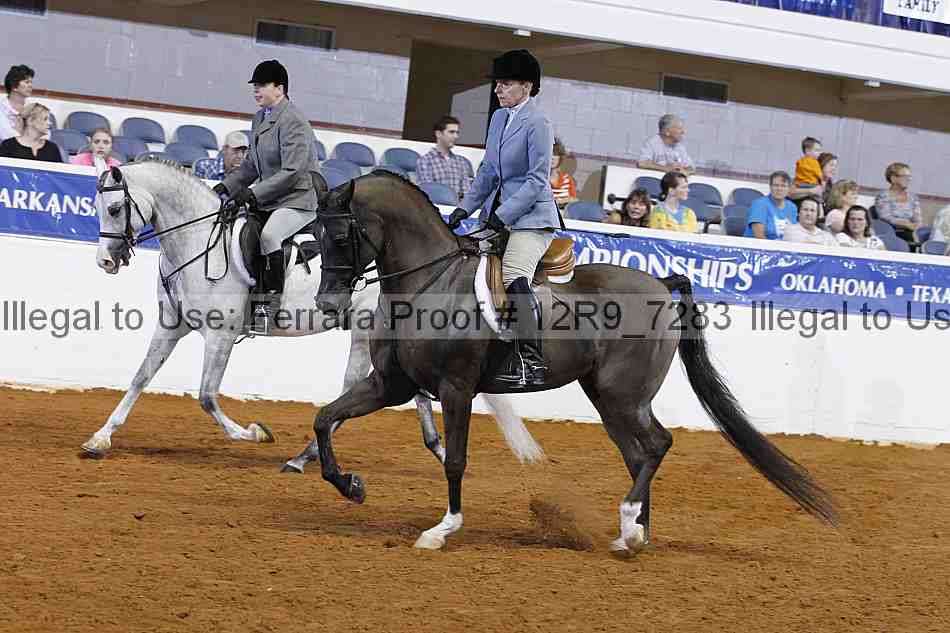 Proof Number 12r9_7283
