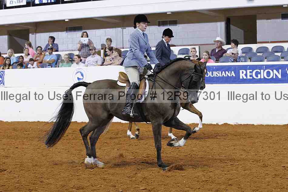 Proof Number 12r9_7301