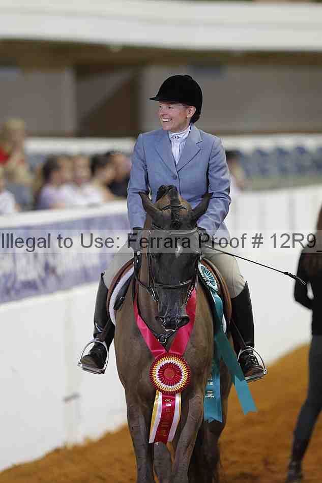Proof Number 12r9_7317