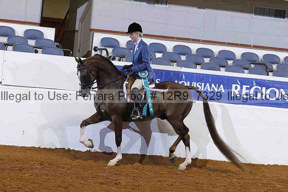 Proof Number 12r9_7329