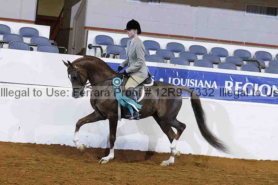 Proof Number 12r9_7332