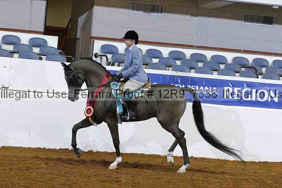 Proof Number 12r9_7338
