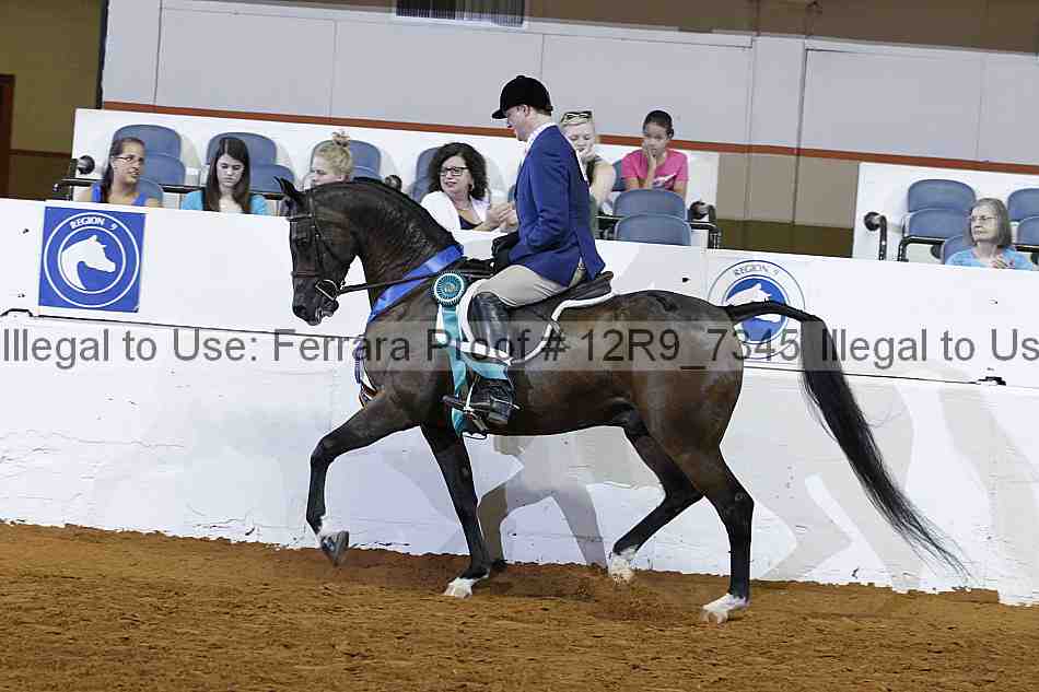 Proof Number 12r9_7345