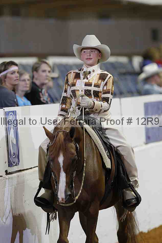 Proof Number 12r9_7370