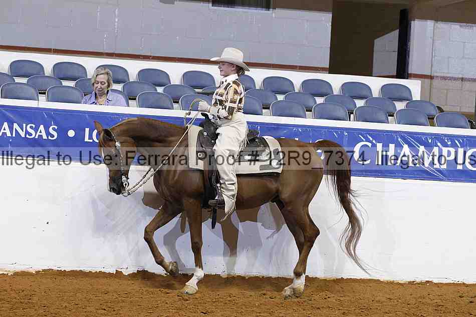 Proof Number 12r9_7374
