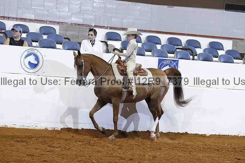 Proof Number 12r9_7379