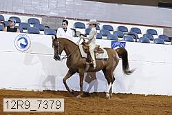 12r9_7379 thumbnail