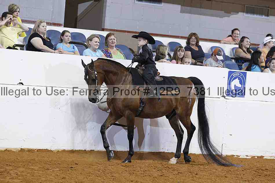 Proof Number 12r9_7381