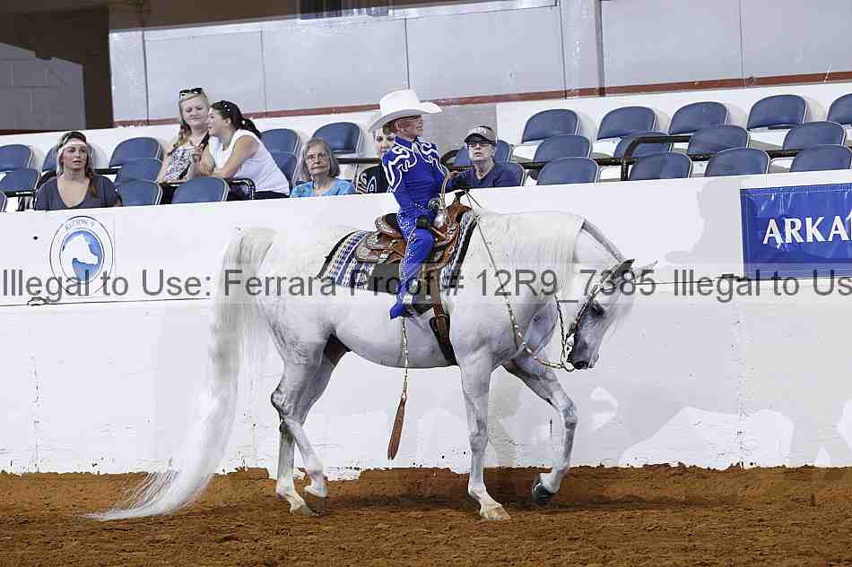 Proof Number 12r9_7385