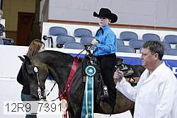 12r9_7391 thumbnail