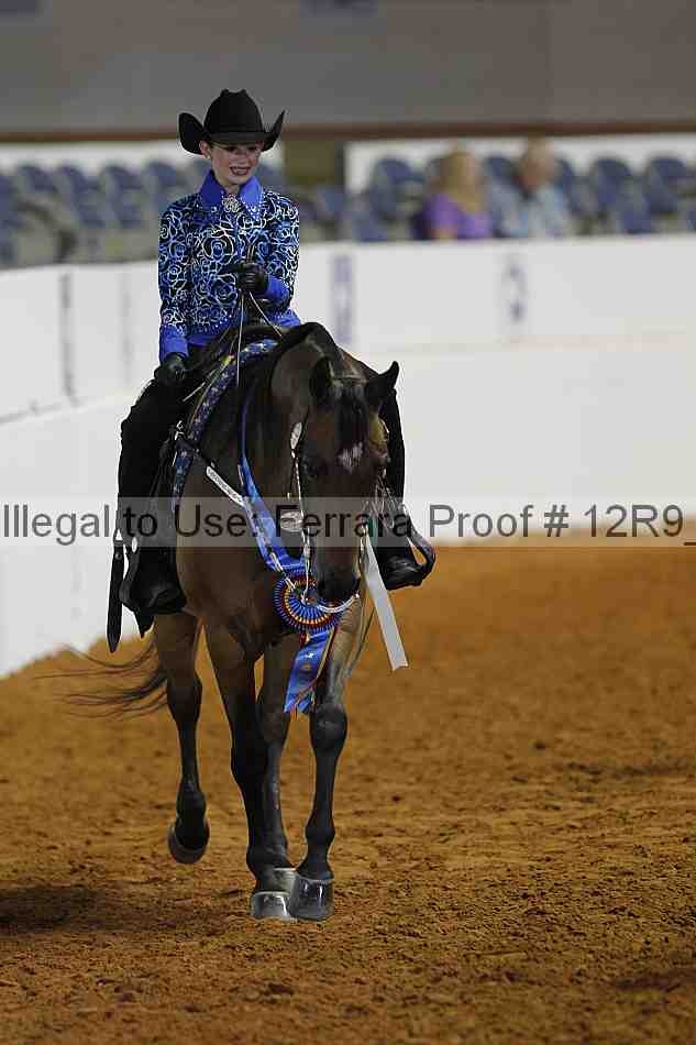 Proof Number 12r9_7398