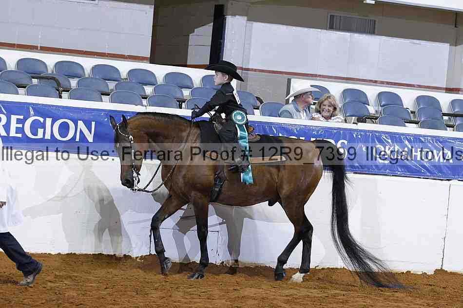 Proof Number 12r9_7399