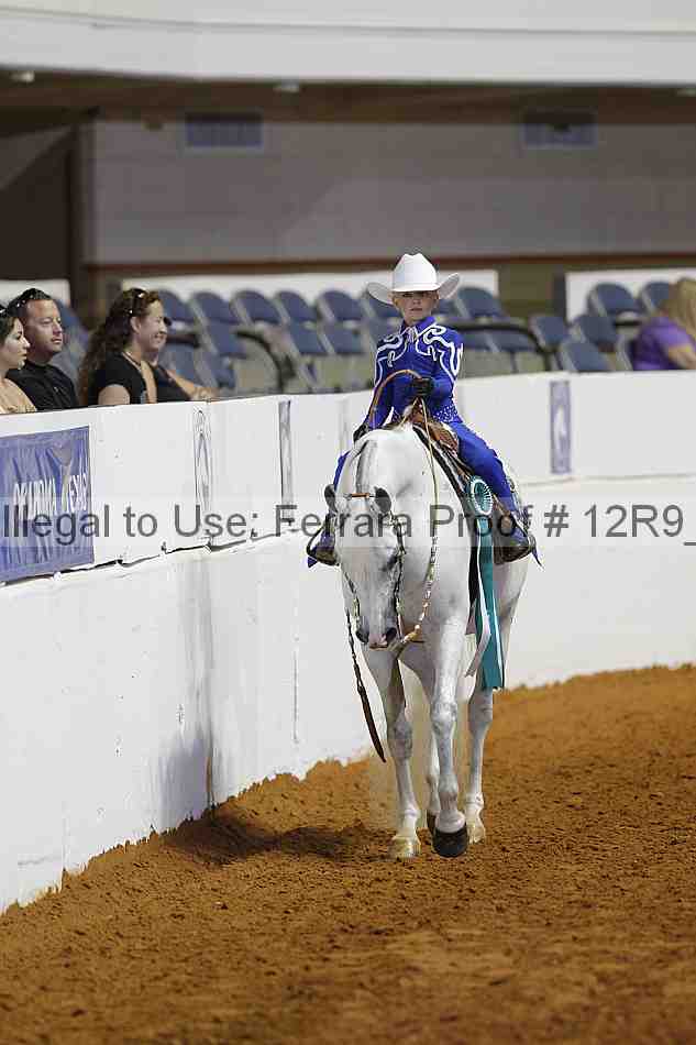 Proof Number 12r9_7405