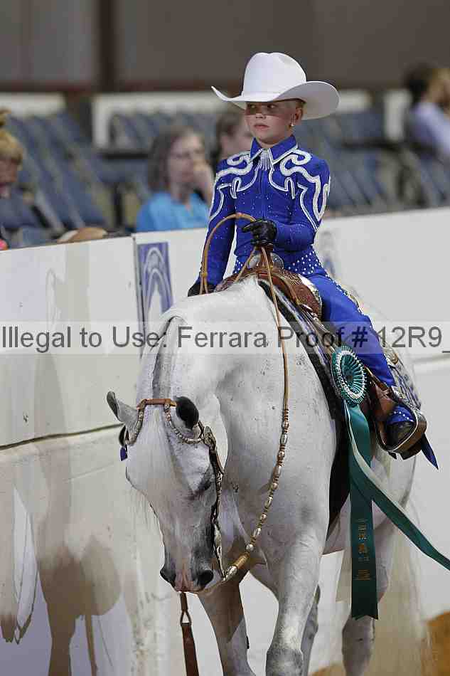 Proof Number 12r9_7408