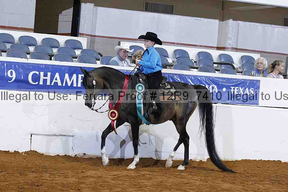 Proof Number 12r9_7410