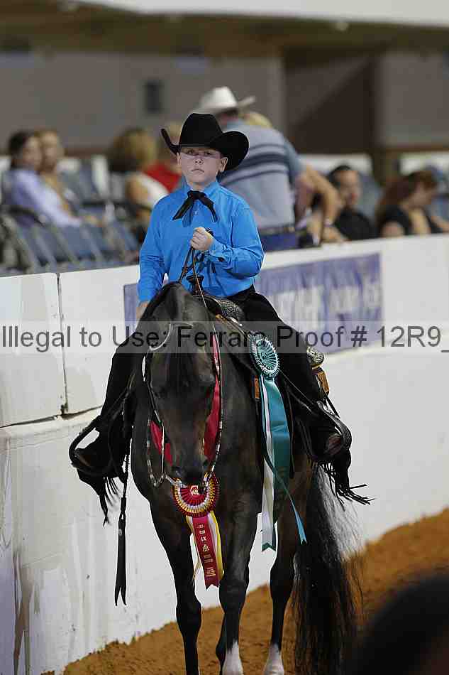 Proof Number 12r9_7416