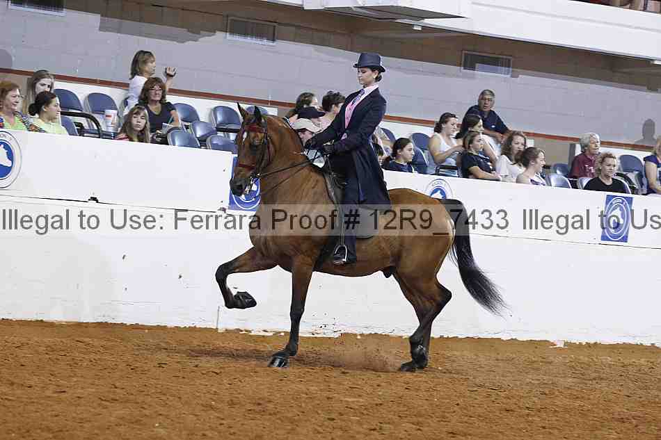 Proof Number 12r9_7433