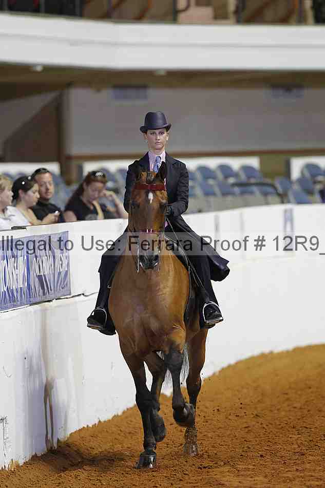 Proof Number 12r9_7436