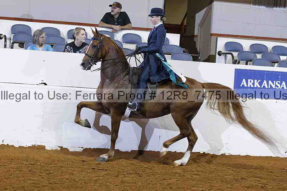 Proof Number 12r9_7475
