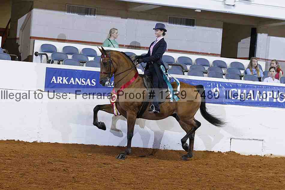 Proof Number 12r9_7480