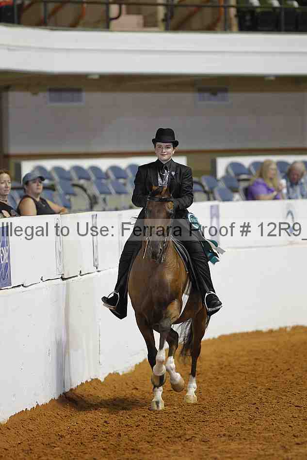 Proof Number 12r9_7481
