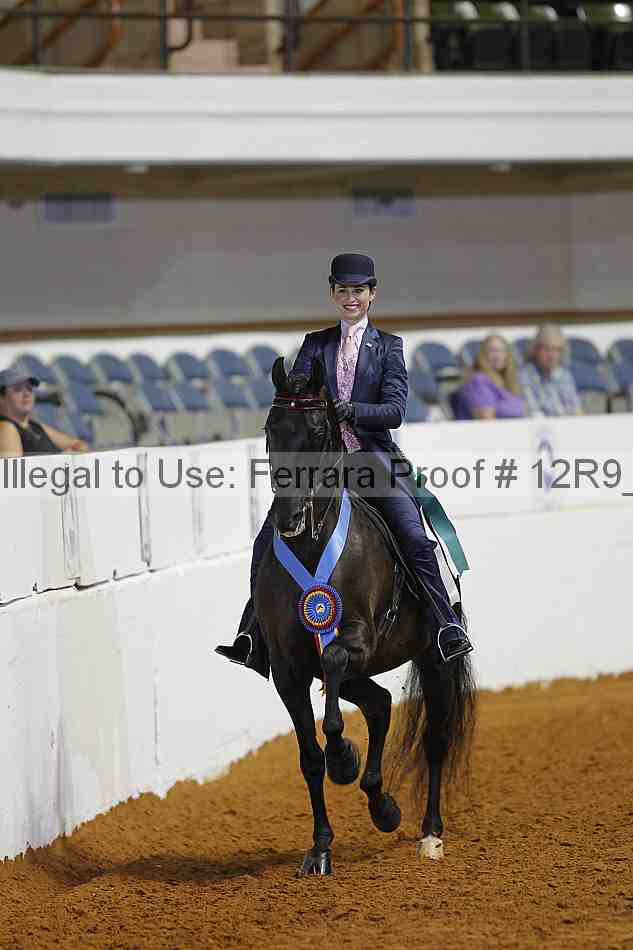 Proof Number 12r9_7495