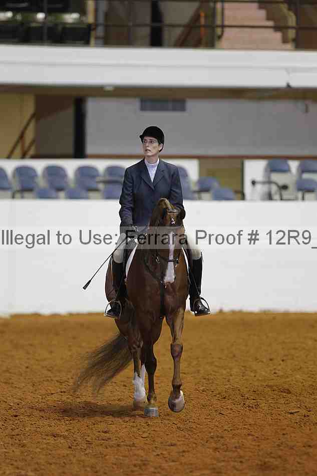 Proof Number 12r9_7516