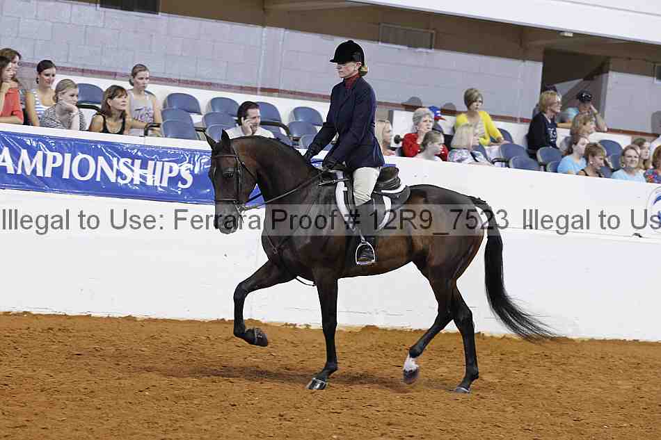 Proof Number 12r9_7523