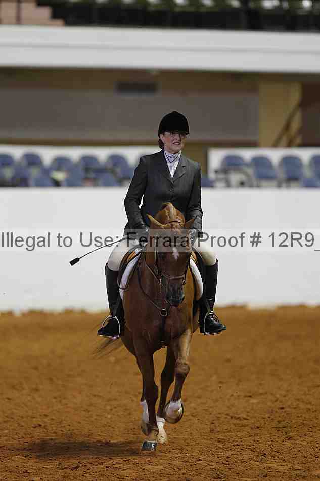 Proof Number 12r9_7524