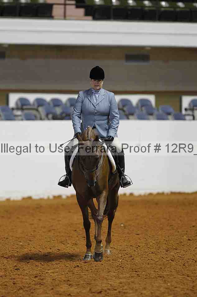 Proof Number 12r9_7527