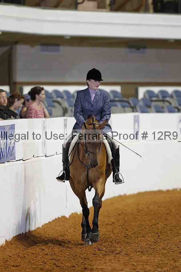 Proof Number 12r9_7530