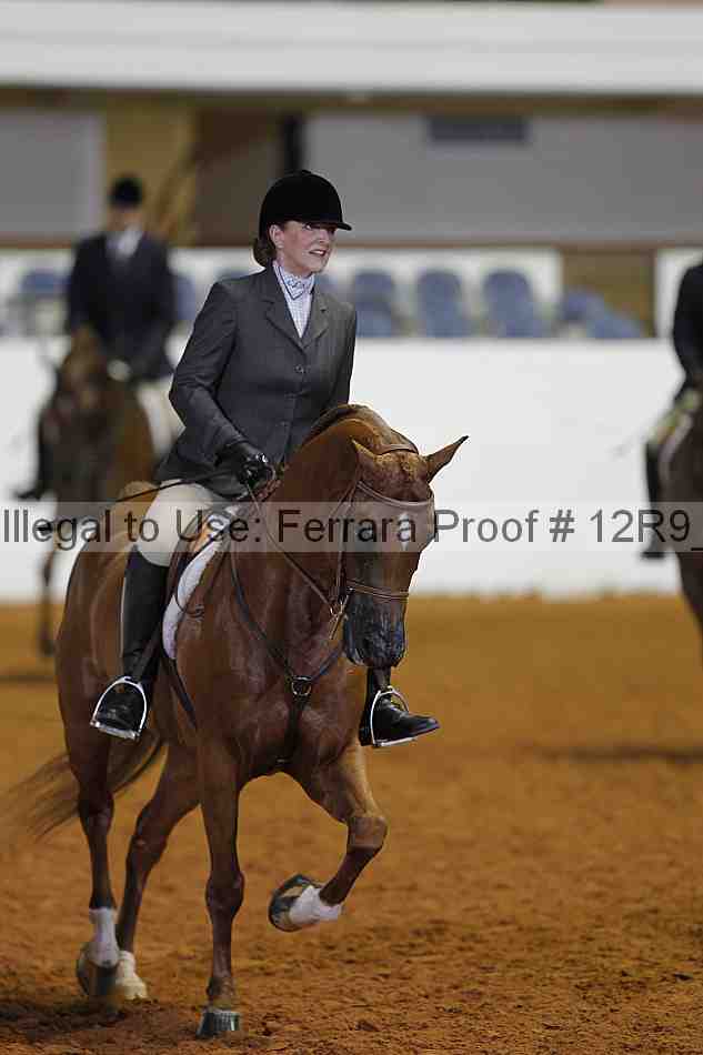Proof Number 12r9_7541