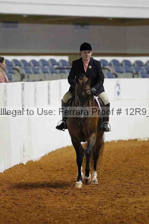 Proof Number 12r9_7545
