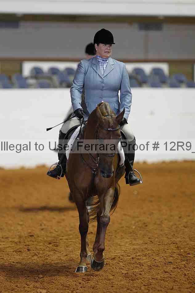 Proof Number 12r9_7546