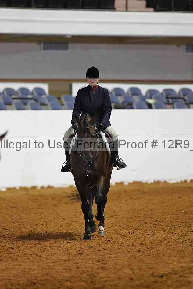 Proof Number 12r9_7549
