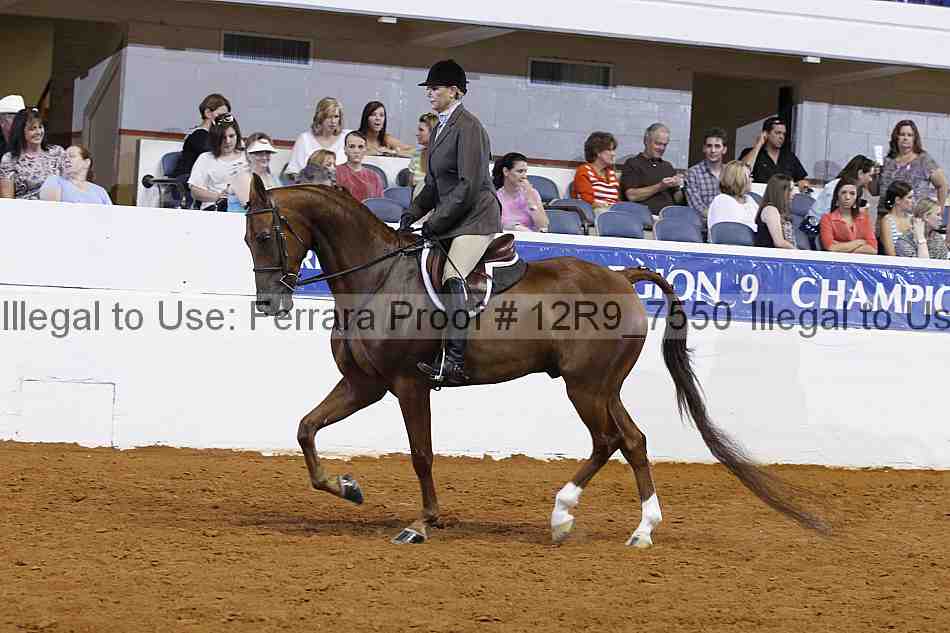 Proof Number 12r9_7550