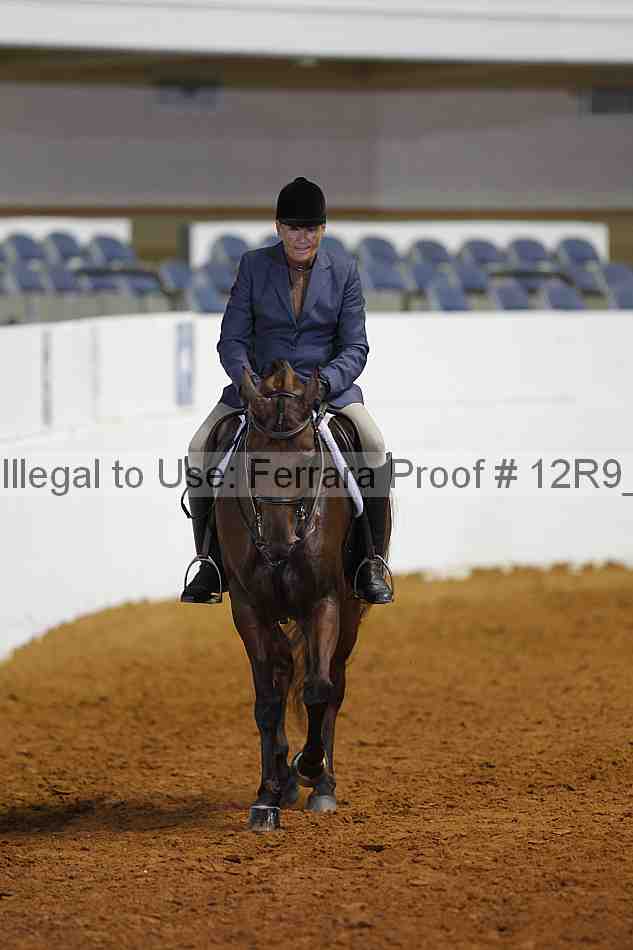 Proof Number 12r9_7564