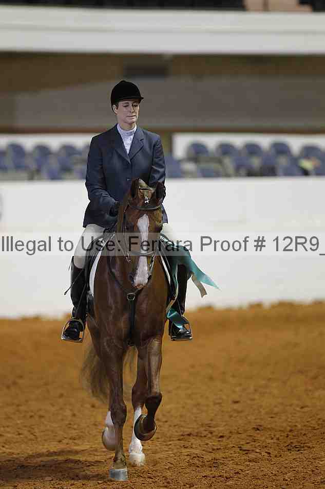 Proof Number 12r9_7586