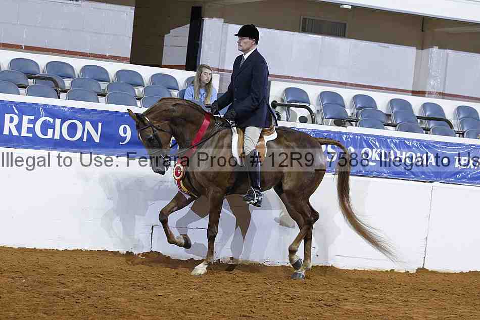 Proof Number 12r9_7588