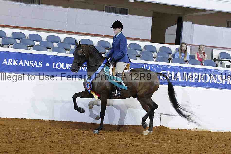 Proof Number 12r9_7594