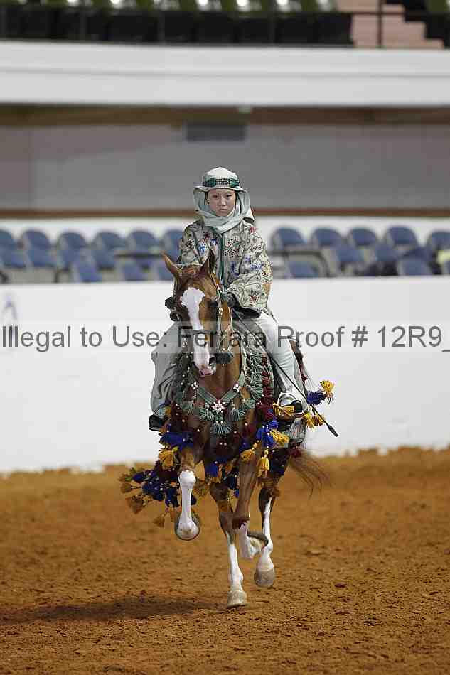 Proof Number 12r9_7627
