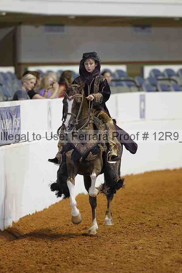 Proof Number 12r9_7631