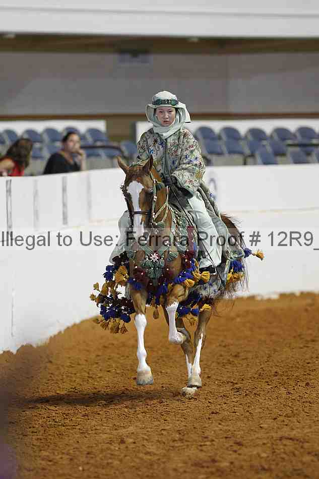 Proof Number 12r9_7632