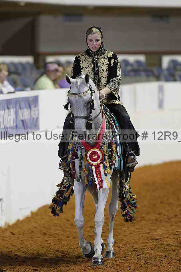 Proof Number 12r9_7646