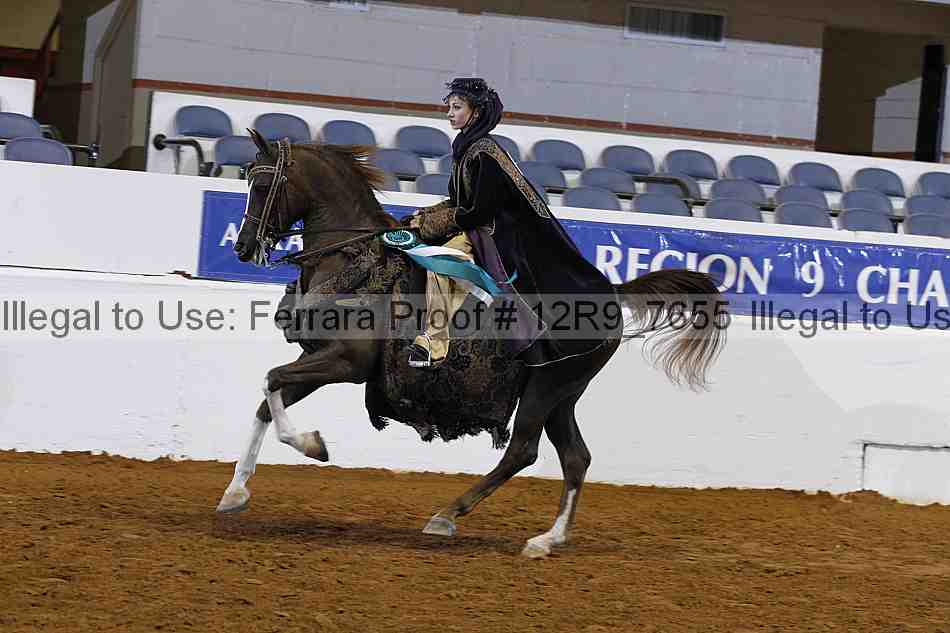 Proof Number 12r9_7655